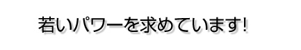 若いパワーを求めています！